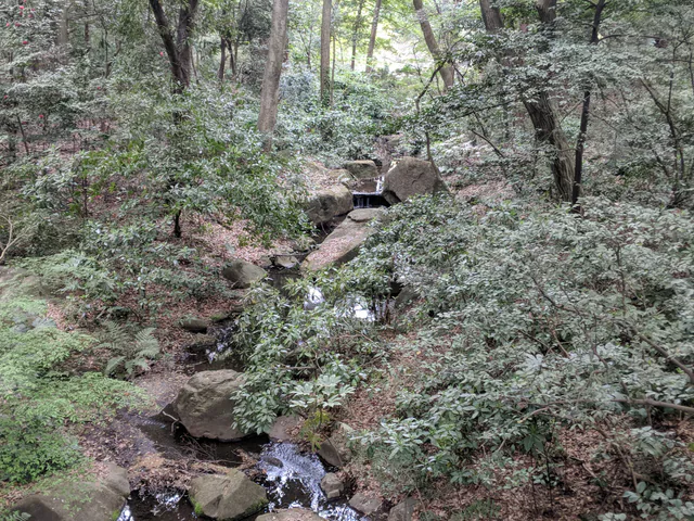 代代木公园